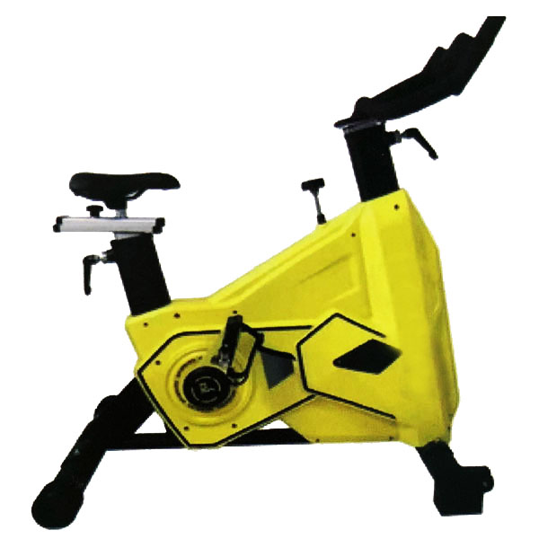 CL-7300/7200 Comm. Spinning Bike Mona Lisa Health Care