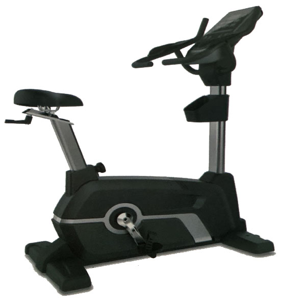 CL-010 Comm Upright Magnetic Bike Mona Lisa Health Care