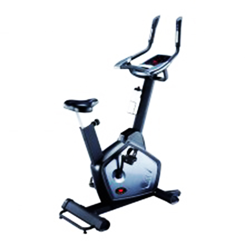 B.6001 UPRIGHT BIKE Mona Lisa Health Care