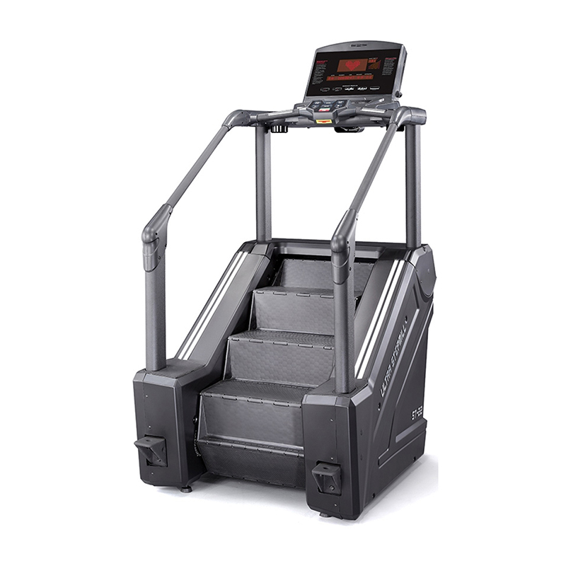 KH 6060 Stepmill Mona Lisa Health Care