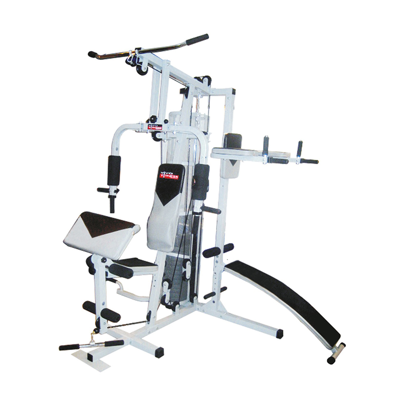 KH-4700 HOME GYM Mona Lisa Health Care