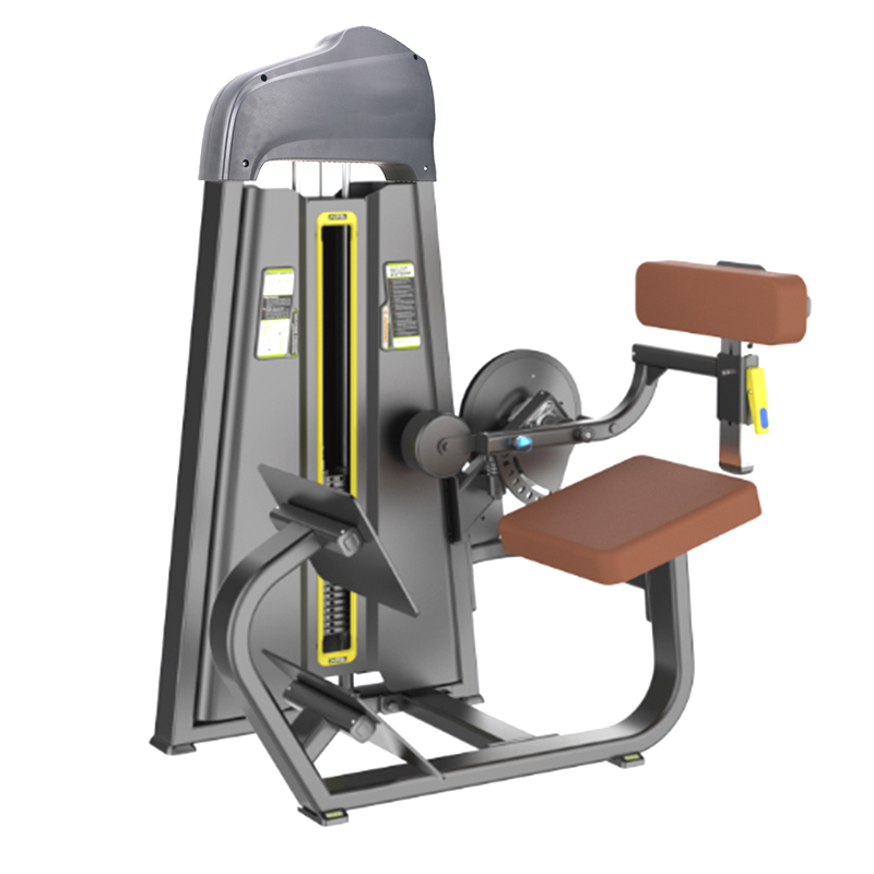 ML1015 Back Extention  Mona Lisa Health Care