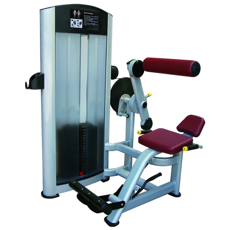 ML8811 Back Extention Mona Lisa Health Care