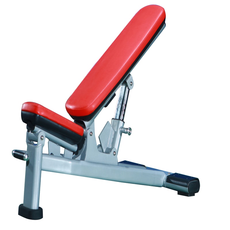 ML9842 Adjustable Bench